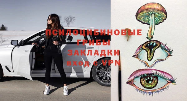 соль курить ск Белокуриха