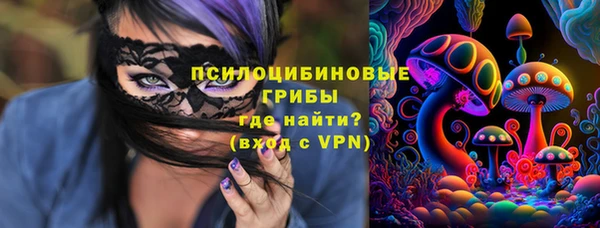 мет Богданович