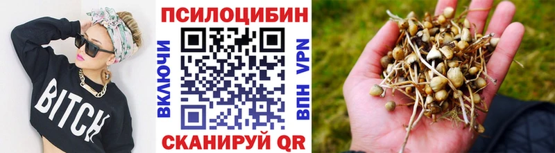Галлюциногенные грибы мицелий  KRAKEN зеркало  Барабинск 